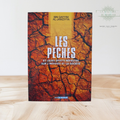 Les péchés et leurs effets néfastes sur l’individu et la société